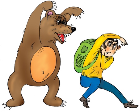 Tourist and wild bear の写真素材