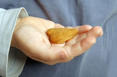 Lovely heart cookies on a hand