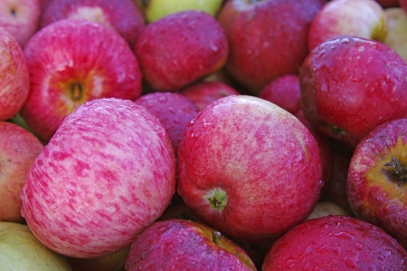 Lot of applesの写真素材