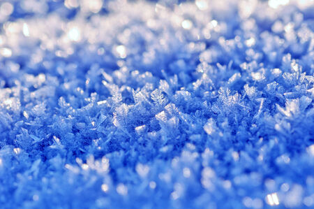 Ice in a hard frostの写真素材