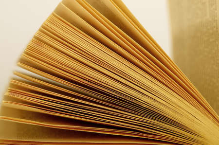 Macro of a open bookの写真素材