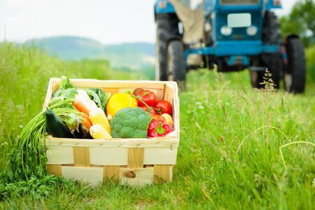 Box With Vegetables Next To A Tractorの写真素材