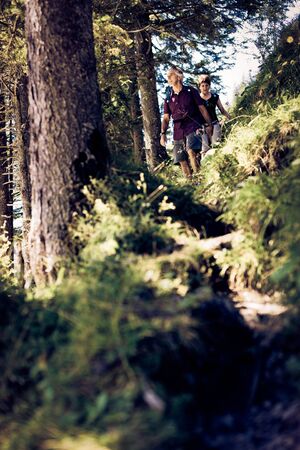 A senior couple is hiking through the forest.の写真素材