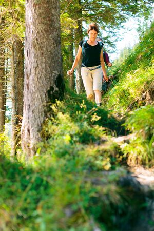 Hiking Seniors in Forestの写真素材