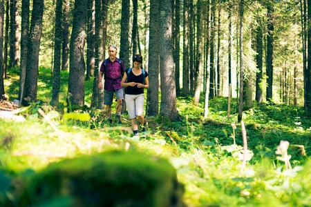 Hiking Seniors in the Forestの写真素材