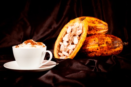 Hot Chocolate With Cocoa Pods On Blackの写真素材