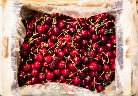 Cherries At The Supermarketの写真素材
