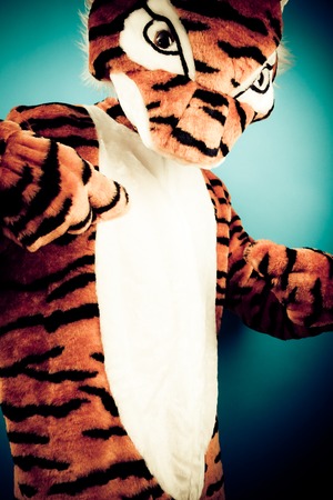 A Not So Wild Tigerの写真素材