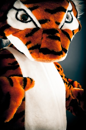 A Not So Wild Tigerの写真素材