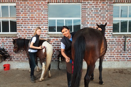 Girl And Young Woman With Their Horsesの写真素材