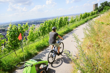 Young Parent Cycling With Bike Trailerの写真素材