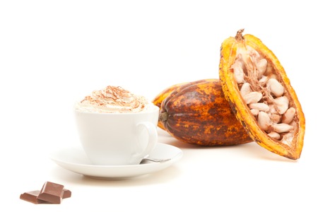 Cup Of Hot Chocolate With Cocoa Pods On Whiteの写真素材