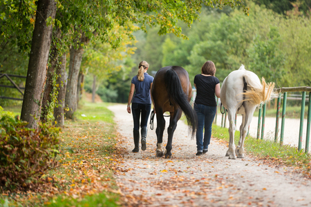 Friends With Their Horsesの写真素材