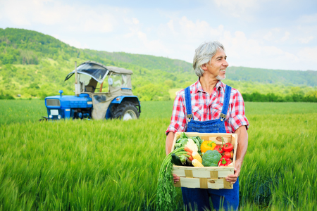 Farmer Standing In A Fieldの写真素材