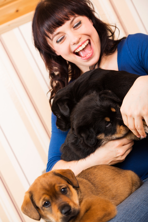 Young Woman Playing With Puppiesの写真素材