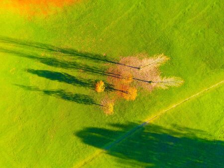 Aerial View Of Meadow With Trees In Autumnの写真素材