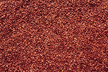 Coffee Beans Background