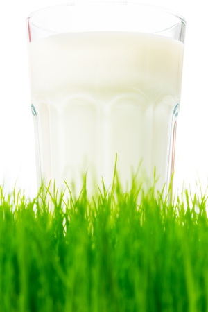 Studio Shot of Fresh Milkの写真素材