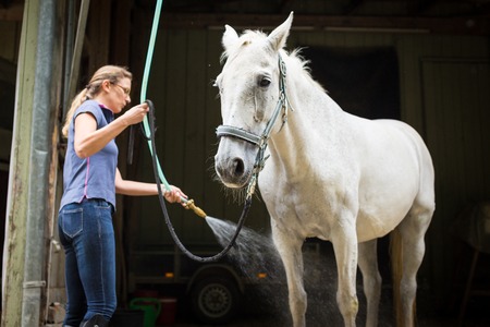 Woman Showering Her Horseの写真素材