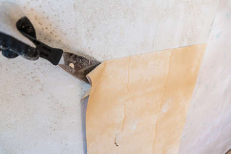 Home Renovation Project, Removing Wallpaperの写真素材