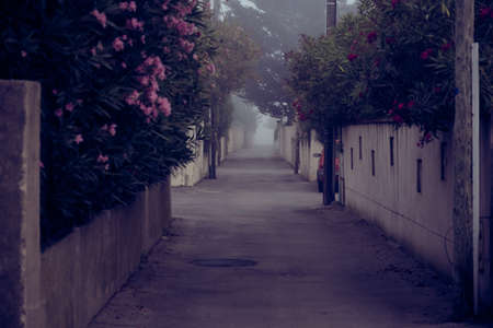 Little Street a Foggy Dayの写真素材