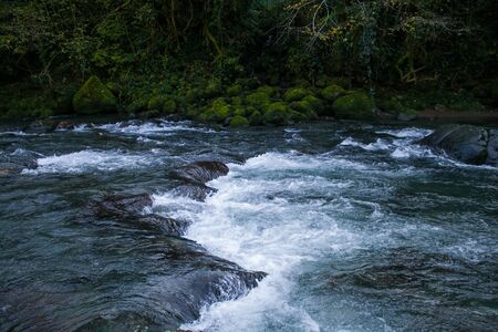 River With Small Waterfalls In Machachela National Park