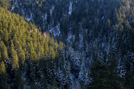 Beautiful winter landscape with snowy cmountains and trees. Trabzon Turkey Karadeniz Black Sea
