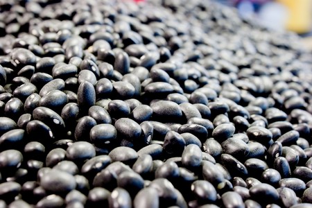 Thai blackbeanの写真素材