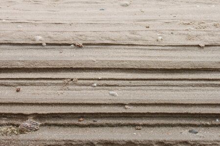 Sand and shell at cha-um beach