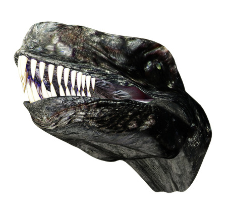 Dinosaurの写真素材