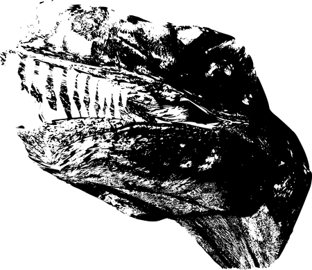 Dinosaurのイラスト素材