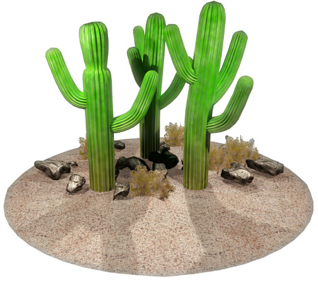 Cactusの写真素材