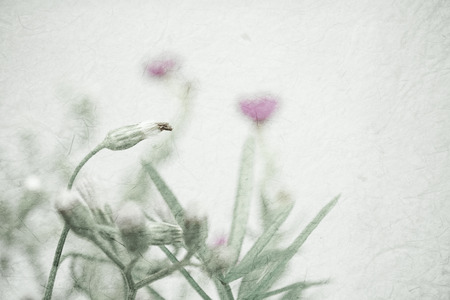 weed flowers in vintage color style on mulberry paper texture for background
