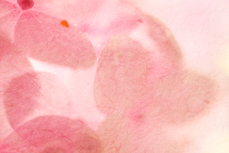 sweet hydrangeas in soft color style on mulberry paper texture for backgroundの写真素材
