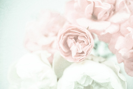 sweet color roses in soft and blur style on mulberry paper textureの写真素材