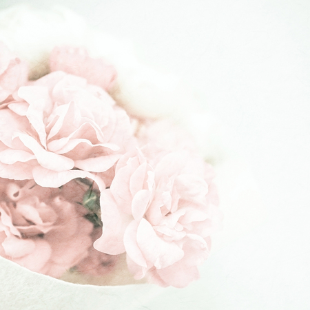 sweet color roses in soft and blur style on mulberry paper textureの写真素材