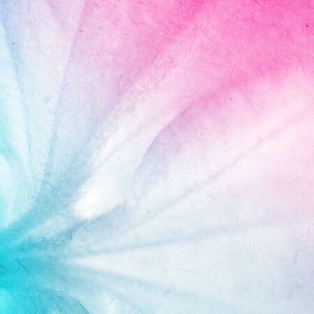 colorful flowers in soft color and blur style for backgroundの写真素材