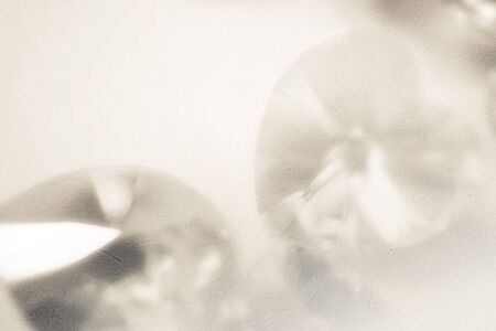 luxury background in soft color and blur styleの写真素材