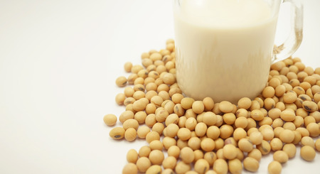 soy milk and soy beansの写真素材