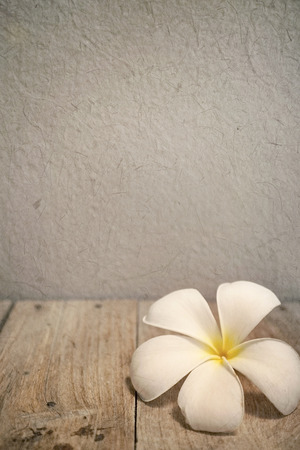 frangipani plumeria on the wood table on mulberry paper textureの写真素材