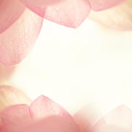 sweet color lotus in soft color and blur style on mulberry paper textureの写真素材