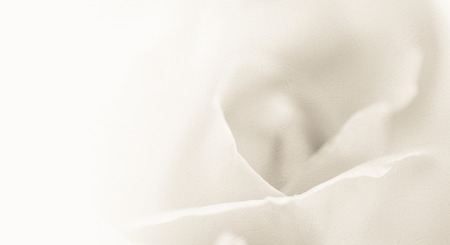 sweet classic color rose in soft color and blur style on mulberry paper textureの写真素材