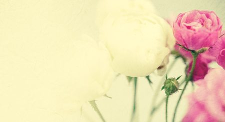 sweet color roses in soft and blur style on mulberry paper textureの写真素材