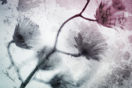colorful flowers in vintage color style on mulberry paper texture for backgroundの写真素材