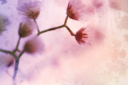 colorful flowers in vintage color style on mulberry paper texture for backgroundの写真素材
