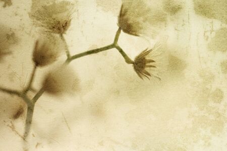 colorful flowers in vintage color style on mulberry paper texture for backgroundの写真素材