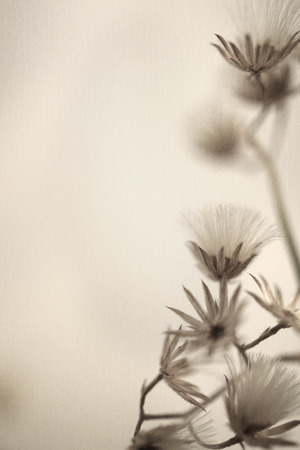 colorful flowers in vintage color style on mulberry paper texture for backgroundの写真素材