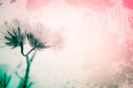 colorful flowers in vintage color style on mulberry paper texture for backgroundの写真素材