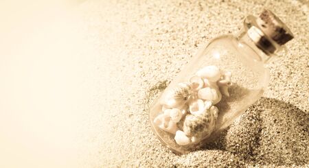shells with sand in vintage color styleの写真素材