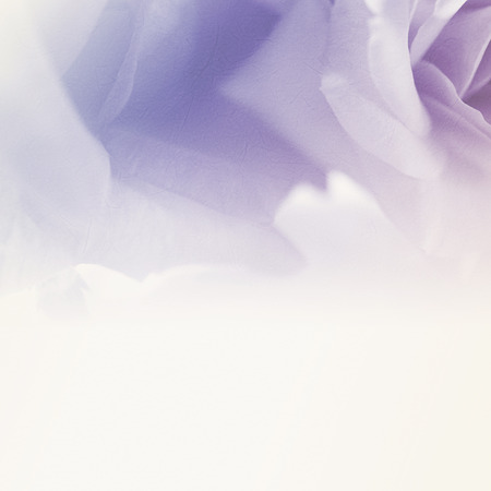 sweet flowers in soft and blur style  for backgroundの写真素材